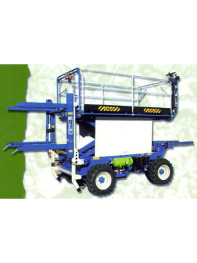 2rm-2rs-big-2000-3m-auto-motriz-2.jpg