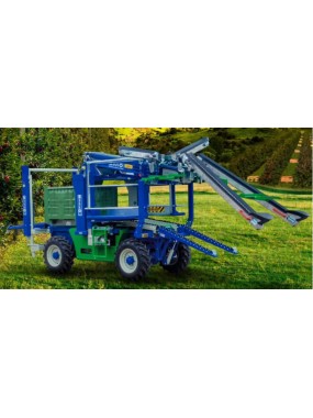 tapis-auto-motriz-mod--1.jpg